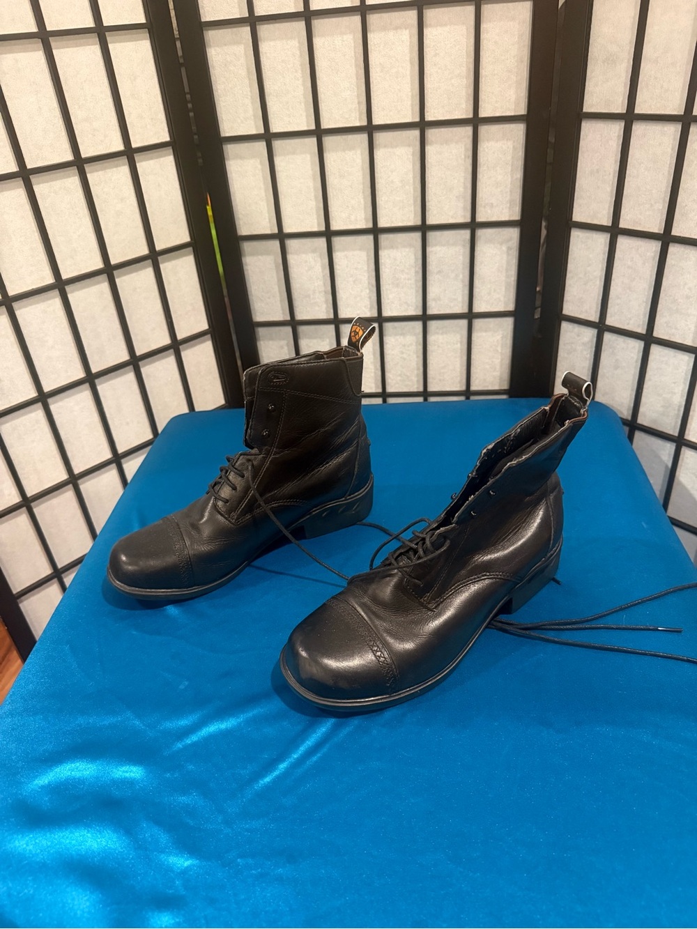 Ariat Black Leather Lace-Up Ankle Boots (G2)
